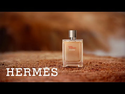 Terre d’Hermès Eau de Toilette – 100 ml / 3.4 fl oz Men’s Cologne